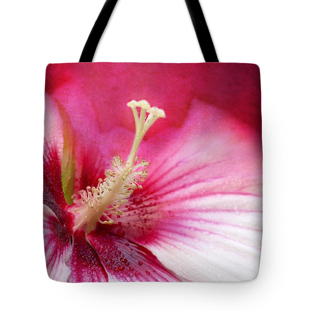 Hibiscus Flower Tote Bag featuring the photograph Misty Sunburst by Marina Kojukhova