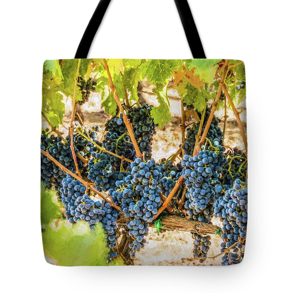 California Tote Bag featuring the photograph Ripe Grapes on Vine by David Letts