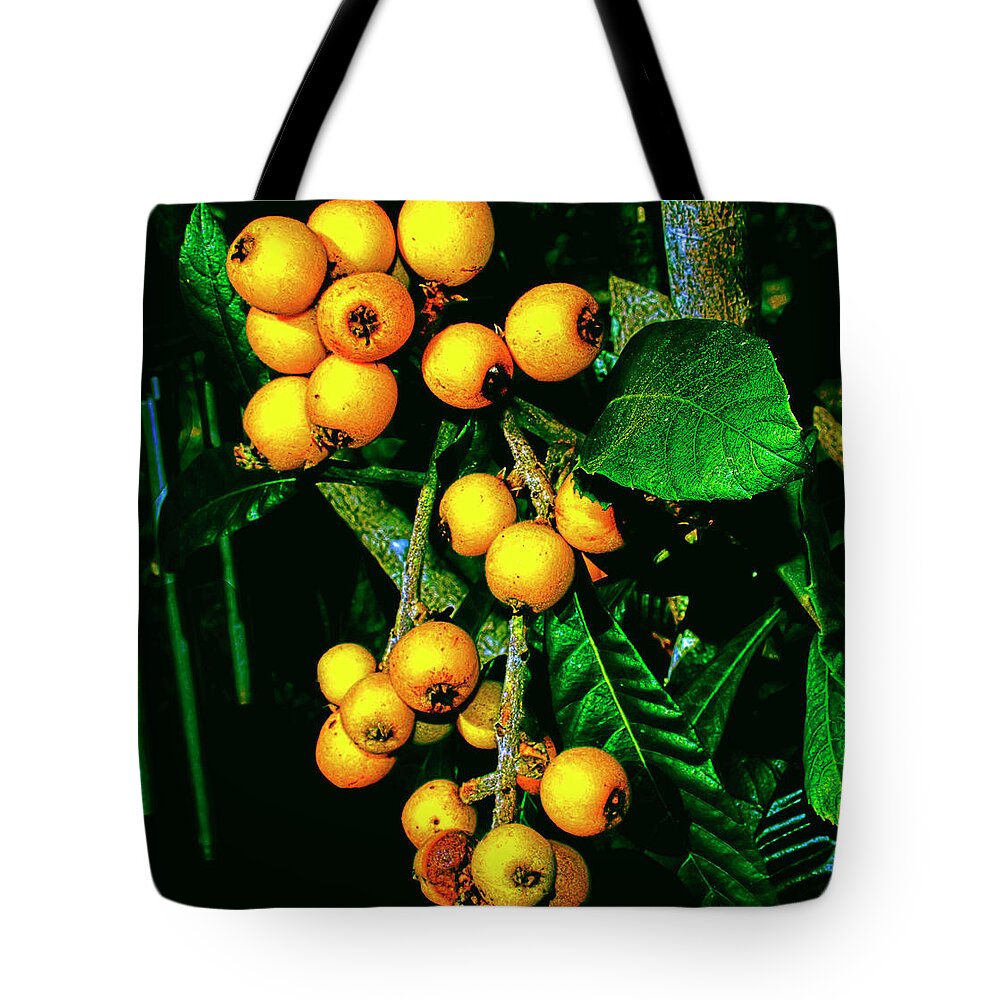 Loquats Tote Bag featuring the photograph Ripe Loquats by Gina O'Brien