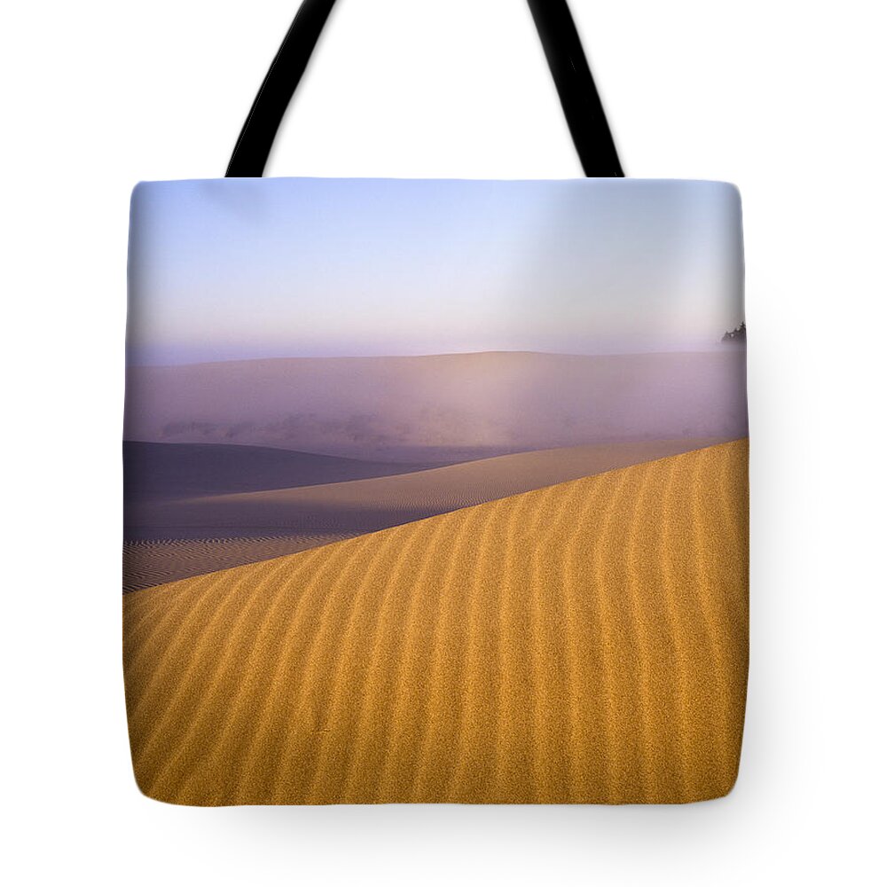 Coast Tote Bag featuring the photograph Rippled Sand Dune by Robert Potts