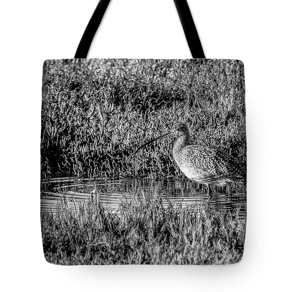 Bird Tote Bag featuring the photograph Camouflage, Black and White by Adam Morsa