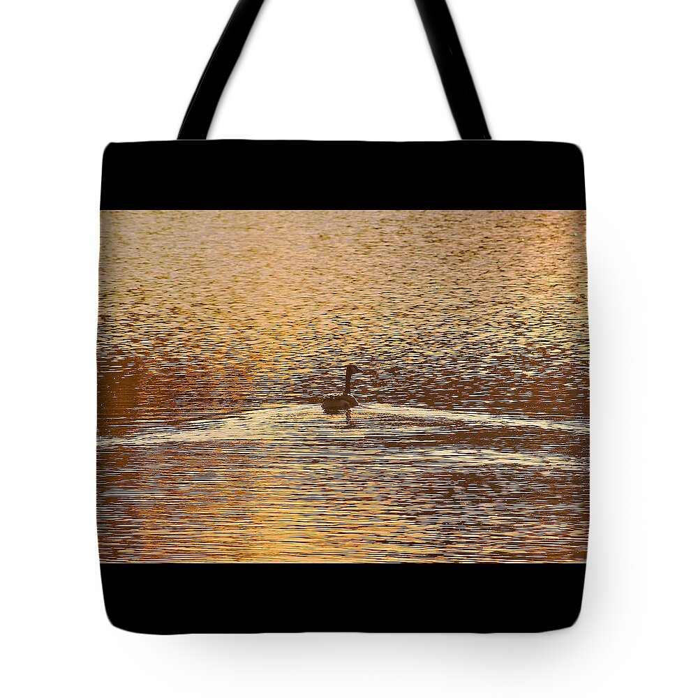 Ripples Tote Bag featuring the photograph Copper by Karl Anderson