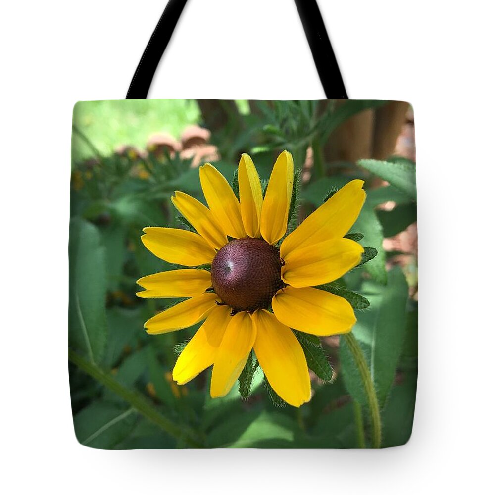 Sunflower Tote Bag featuring the photograph Rise and Shine by Pamela Henry