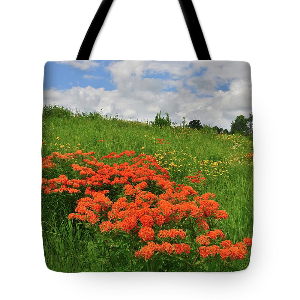 Glacial Park Tote Bag featuring the photograph Rising Clouds over Glacial Park Prairie by Ray Mathis