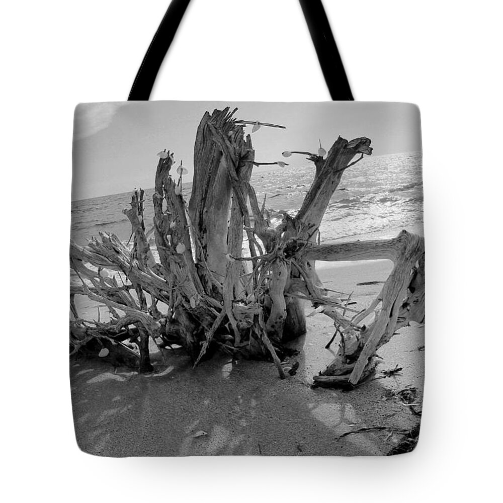 Coast Tote Bag featuring the photograph Rising From the Sand by Robert Wilder Jr