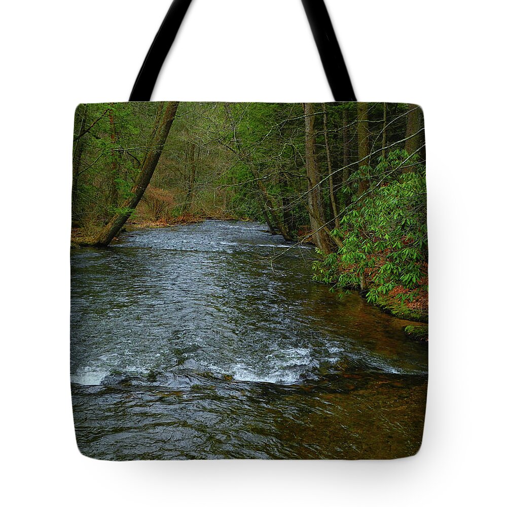River In Caledonia State Park Along The At Tote Bag featuring the photograph River in Caledonia State Park Along the AT by Raymond Salani III