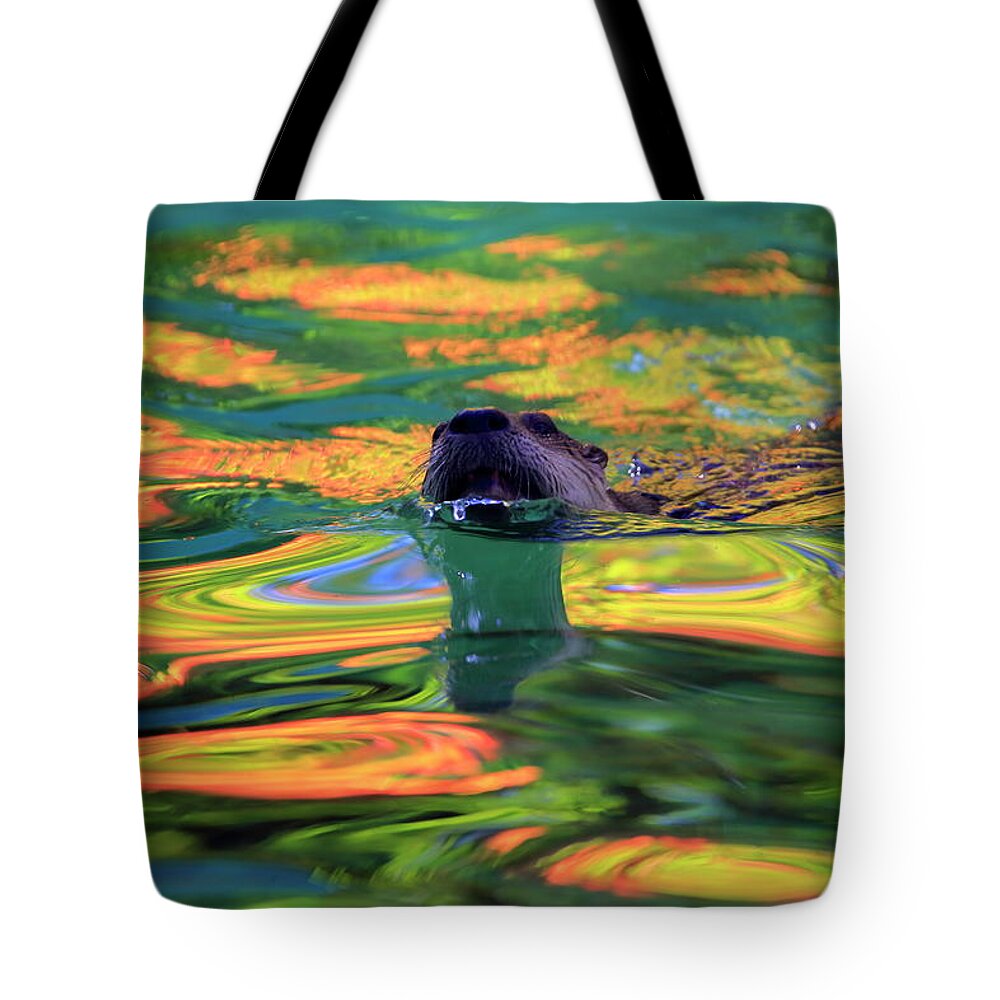 River Tote Bag featuring the photograph River Otter and autumn color by Gary Corbett