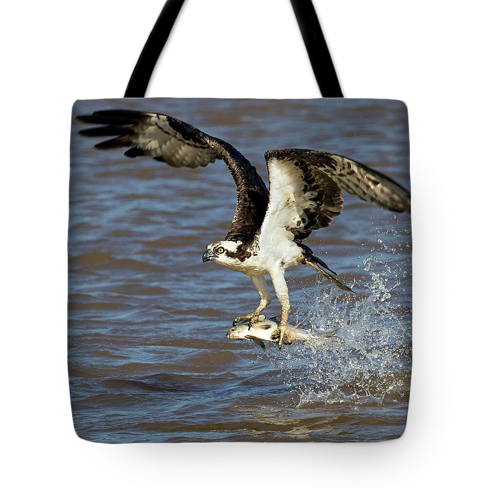 Osprey Tote Bag featuring the photograph River Snatch by Art Cole