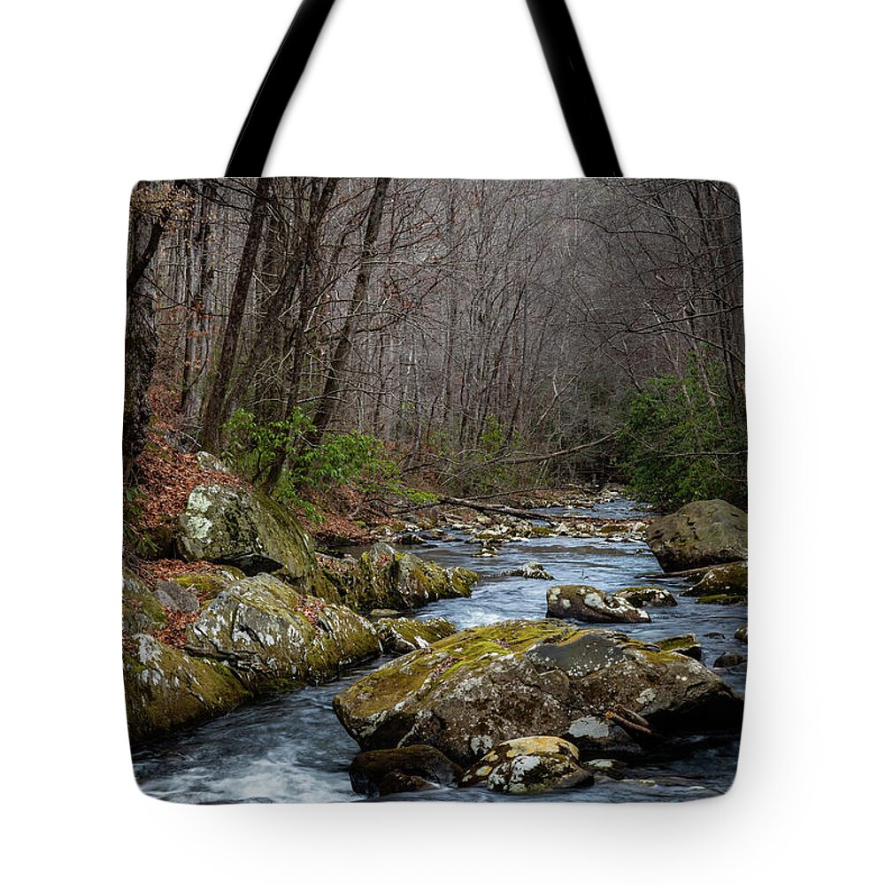 Scenic Tote Bag featuring the photograph River Tellico by Gary Migues