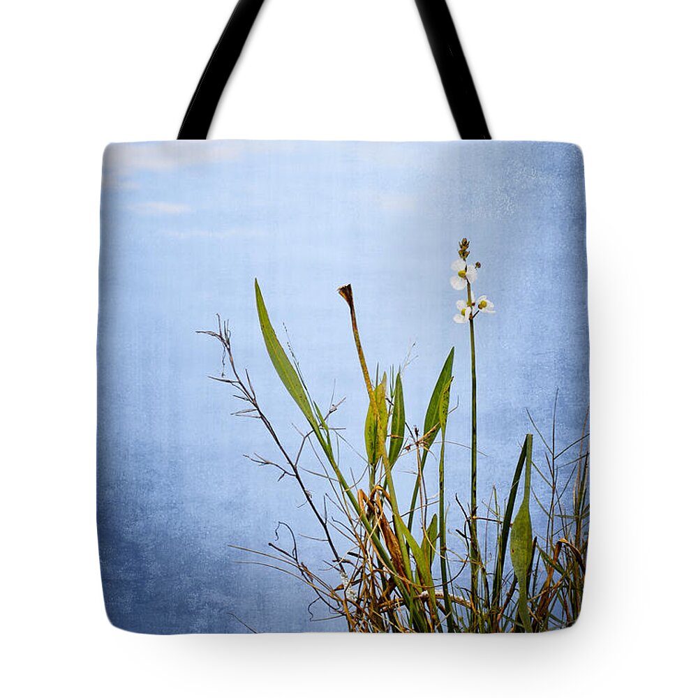 Wildflower Tote Bag featuring the photograph Riverbank Beauty by Carolyn Marshall