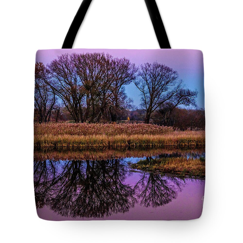 Mohawk River Tote Bag featuring the photograph Riverglow by Neil Shapiro