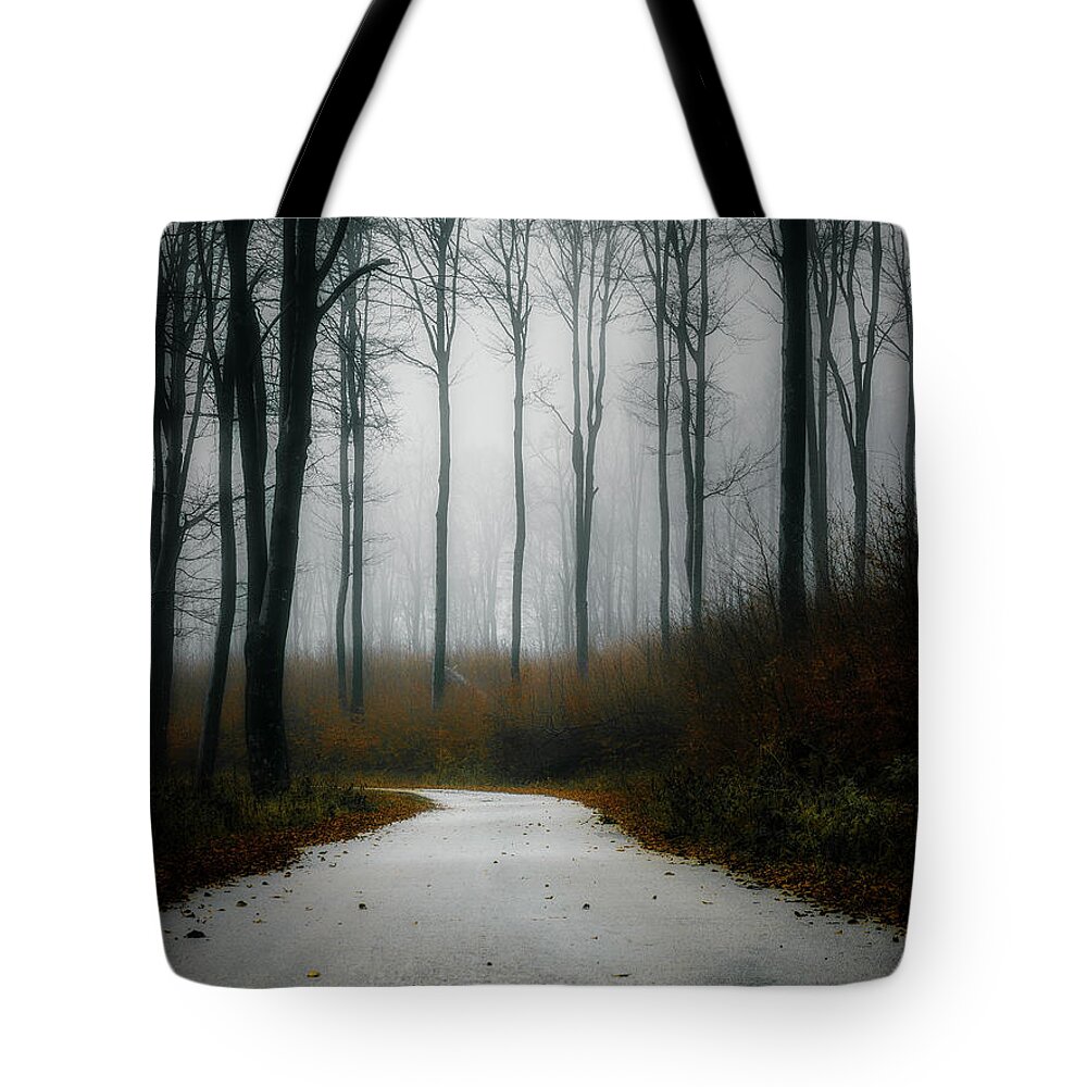 Autumn Tote Bag featuring the photograph Road in the fog 07/11/17 by Plamen Petkov