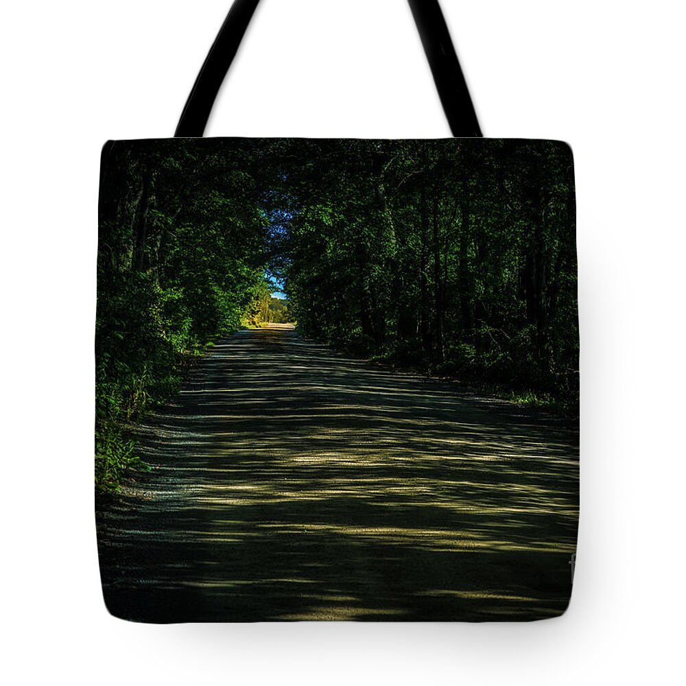 Golden Tote Bag featuring the photograph Road Through the Woods by Roger Monahan