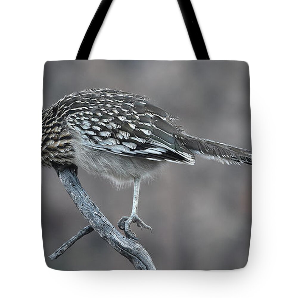 Roadrunner Tote Bag featuring the photograph Roadrunner by Ben Foster