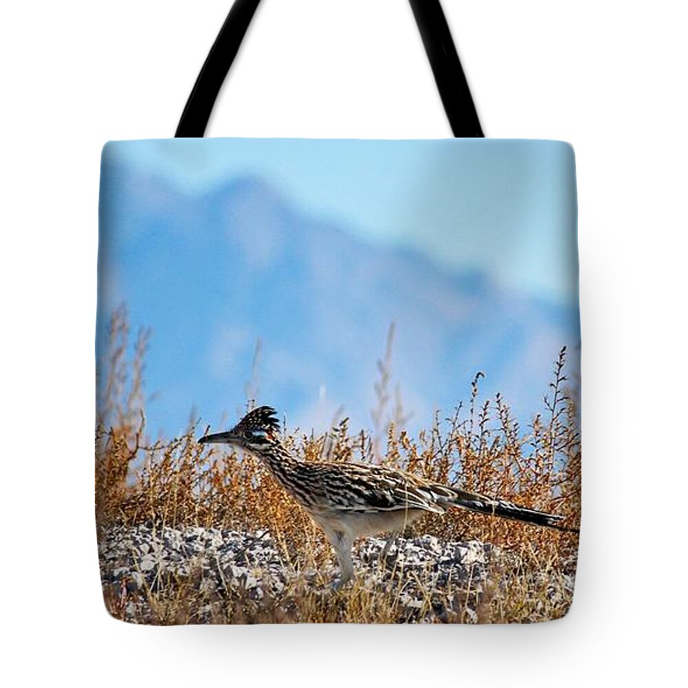 Roadrunner Tote Bag featuring the photograph Roadrunner On The Run by Barbara Chichester