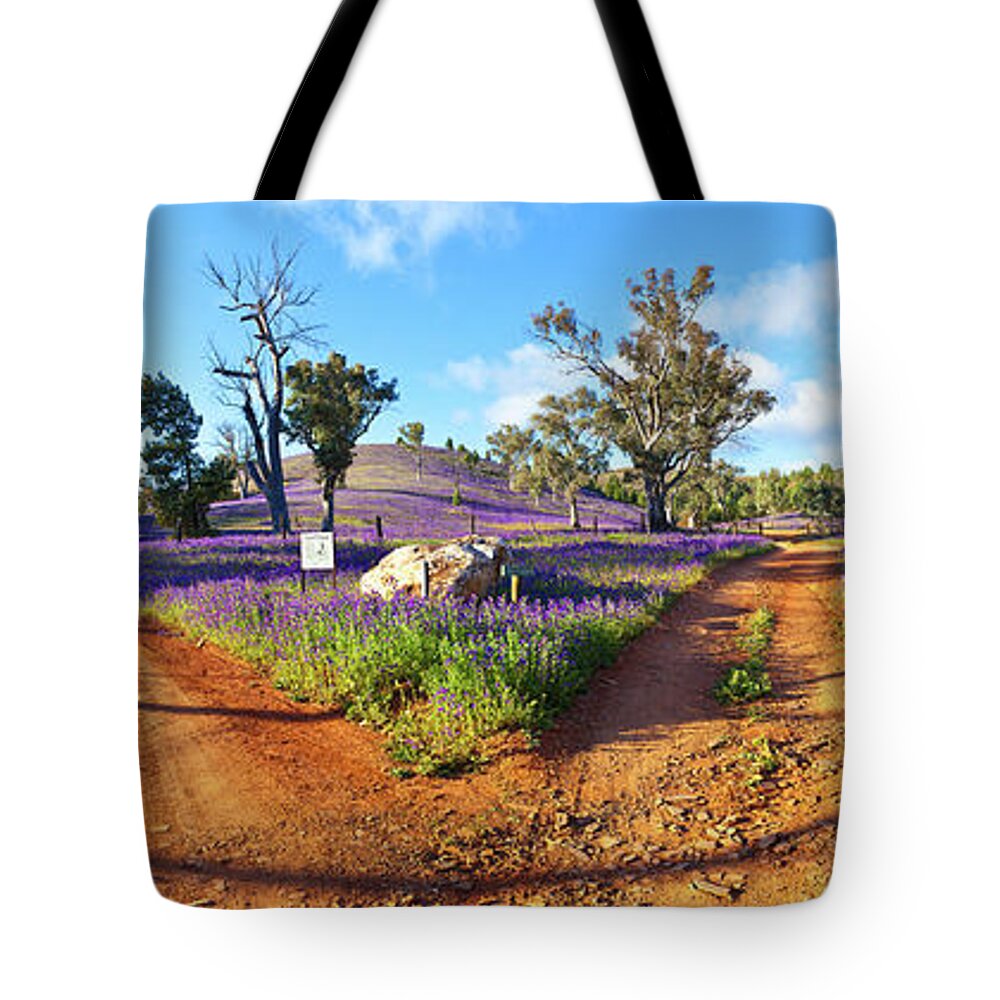 Salvation Jane Pattersons Curse Willow Springs Station Flinders Ranges Wild Flowers Fork In The Road Dirt Trakcs Ausralia South Australian Landscape Landscapes Pano Panorama Panoramic Tote Bag featuring the photograph Roads to Salvation Jane by Bill Robinson