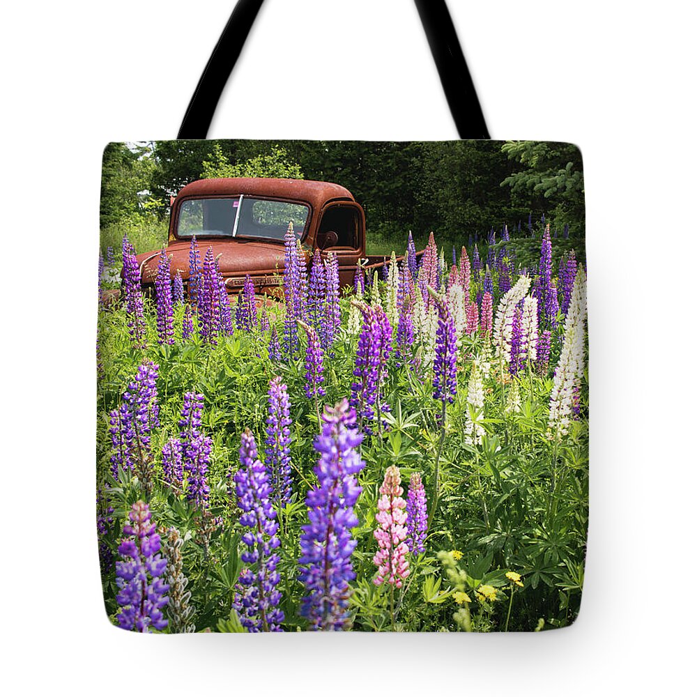 Lupines Tote Bag featuring the photograph Roadside Attraction by Holly Ross
