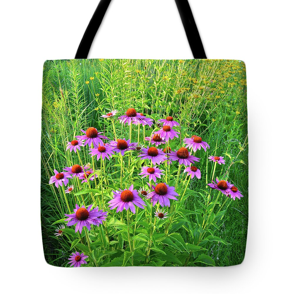 Black Eyed Susan Tote Bag featuring the photograph Roadside Coneflowers in McHenry County by Ray Mathis