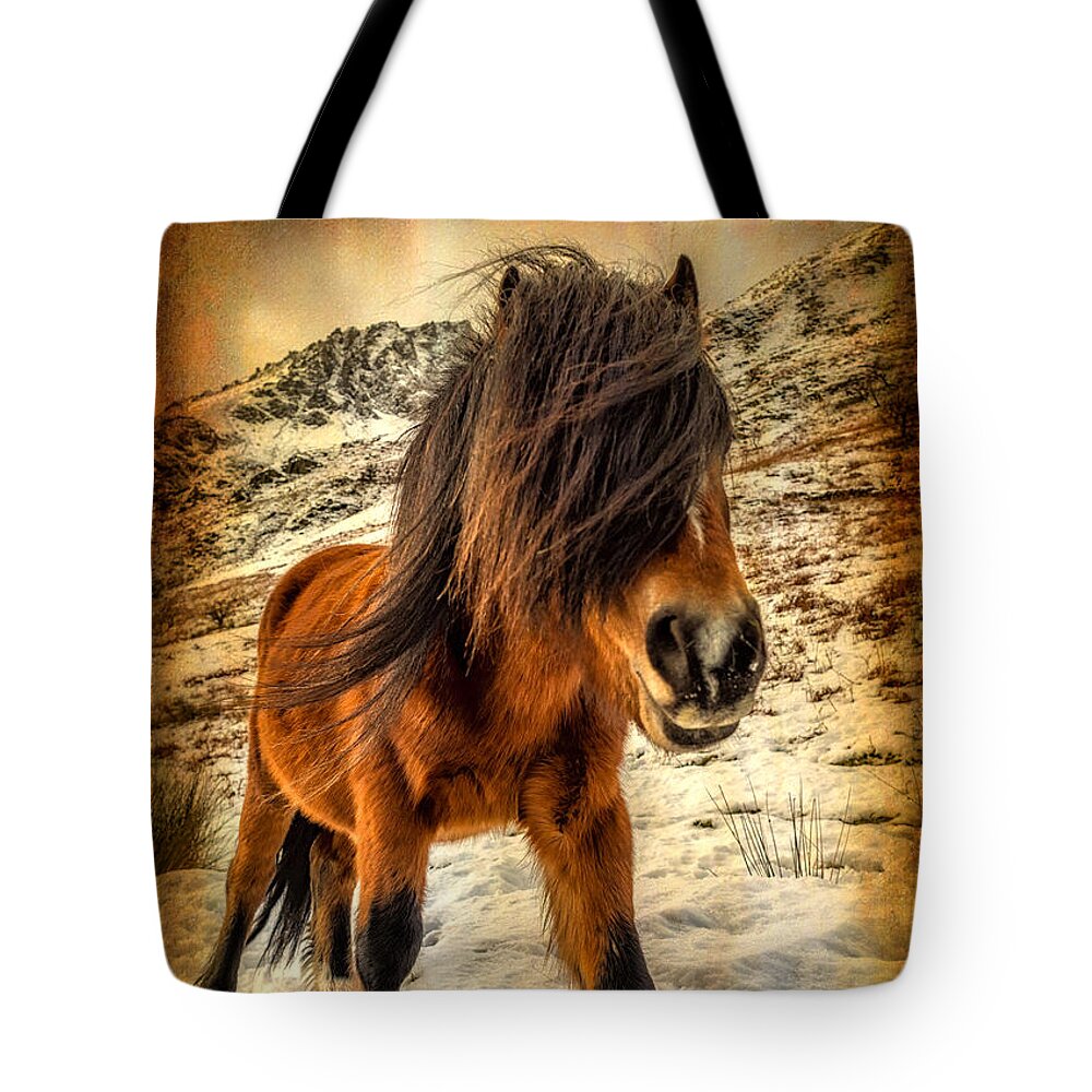 Nant Ffrancon Tote Bag featuring the photograph Roaming Free by Adrian Evans