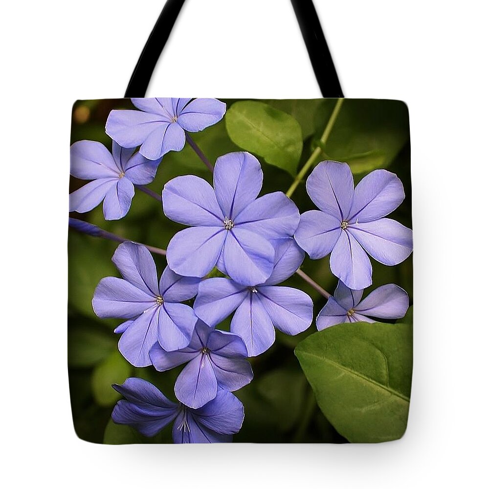 Nature Tote Bag featuring the photograph Lavender Splendor by Bruce Bley