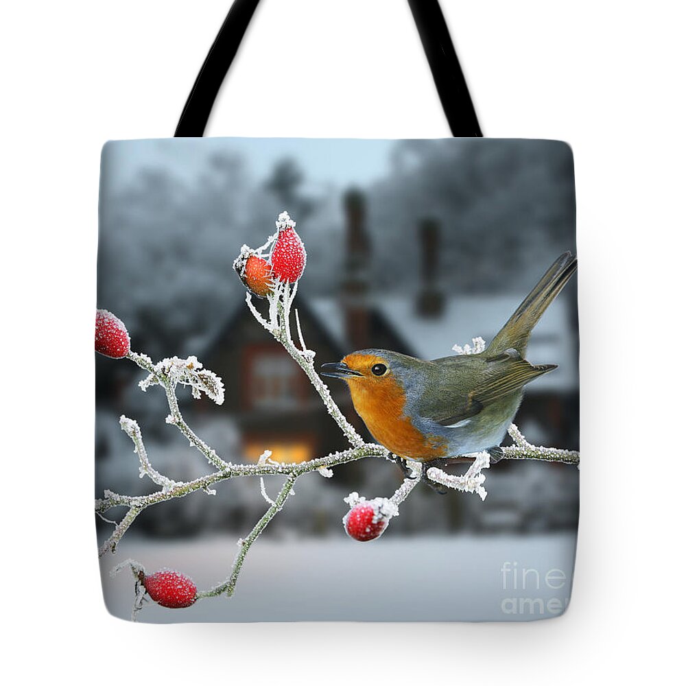 European Robin Tote Bag featuring the photograph Robin and rose hips by Warren Photographic