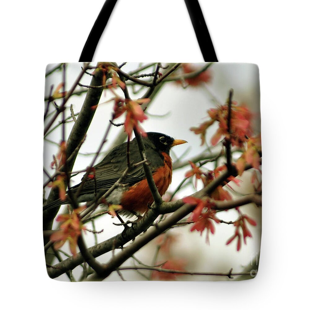 Spring Tote Bag featuring the photograph Robin In Spring by Lydia Holly