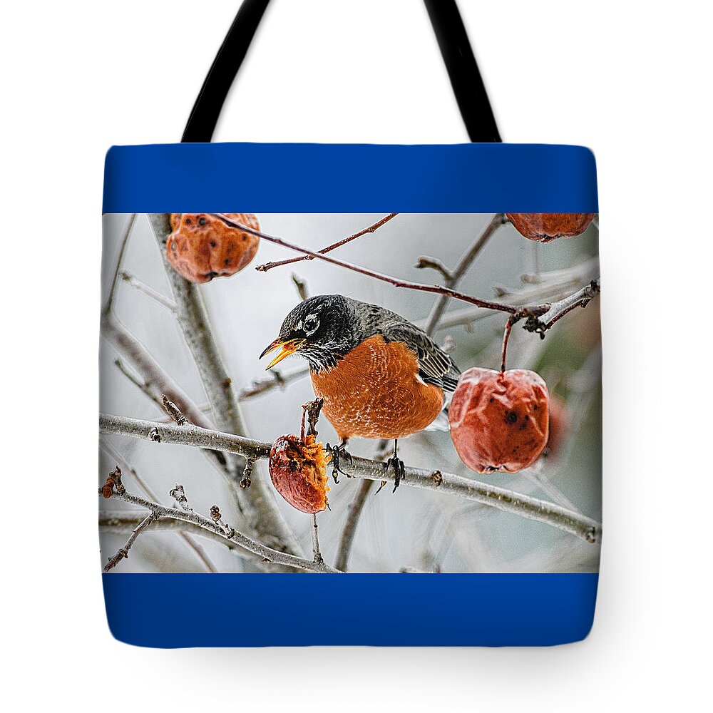Robin Red Breast 3 Tote Bag featuring the photograph Robin Red Breast 3 by Marty Saccone
