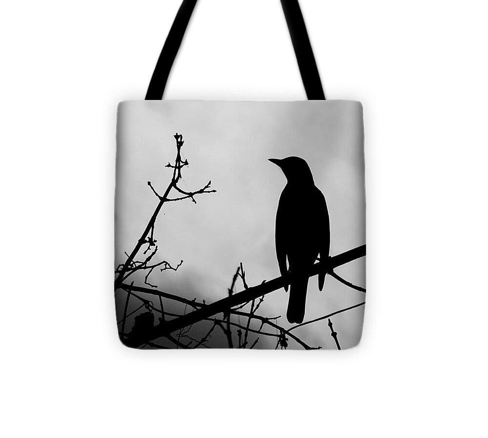 Robin Silhouette Tote Bag featuring the photograph Robin Silhouette by Dark Whimsy
