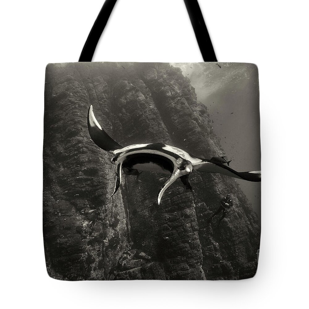 Giant Pacific Manta Ray Tote Bag featuring the photograph Roca Partida Encounter by Aaron Whittemore