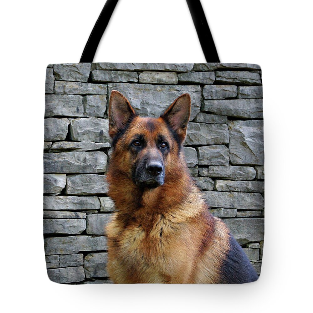German Shepherd Tote Bag featuring the photograph Observant by Sandy Keeton