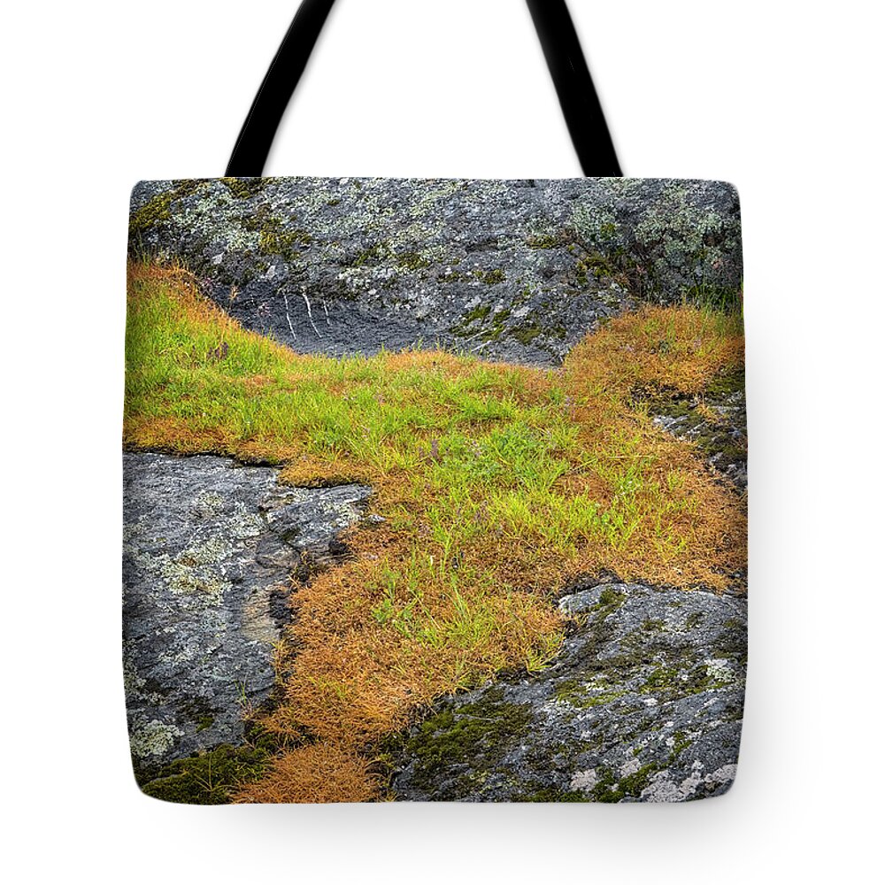 Oregon Coast Tote Bag featuring the photograph Rock And Grass by Tom Singleton