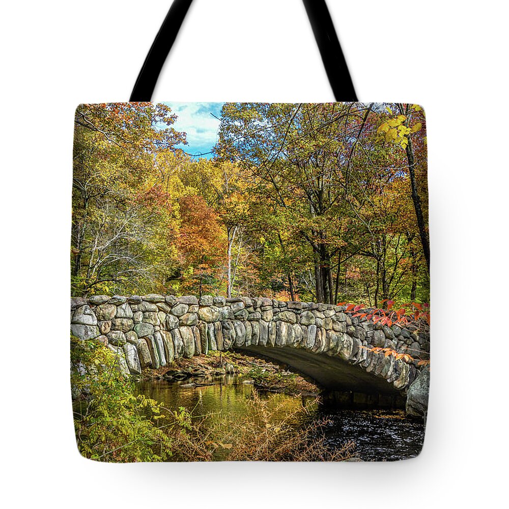 Dc Tote Bag featuring the photograph Rock Creek Bridge by David Meznarich