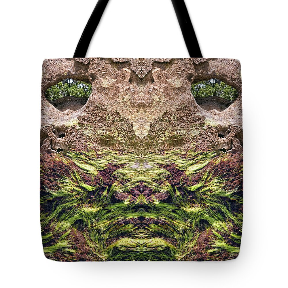 Split Personality Tote Bag featuring the digital art Rock Lion by Becky Titus
