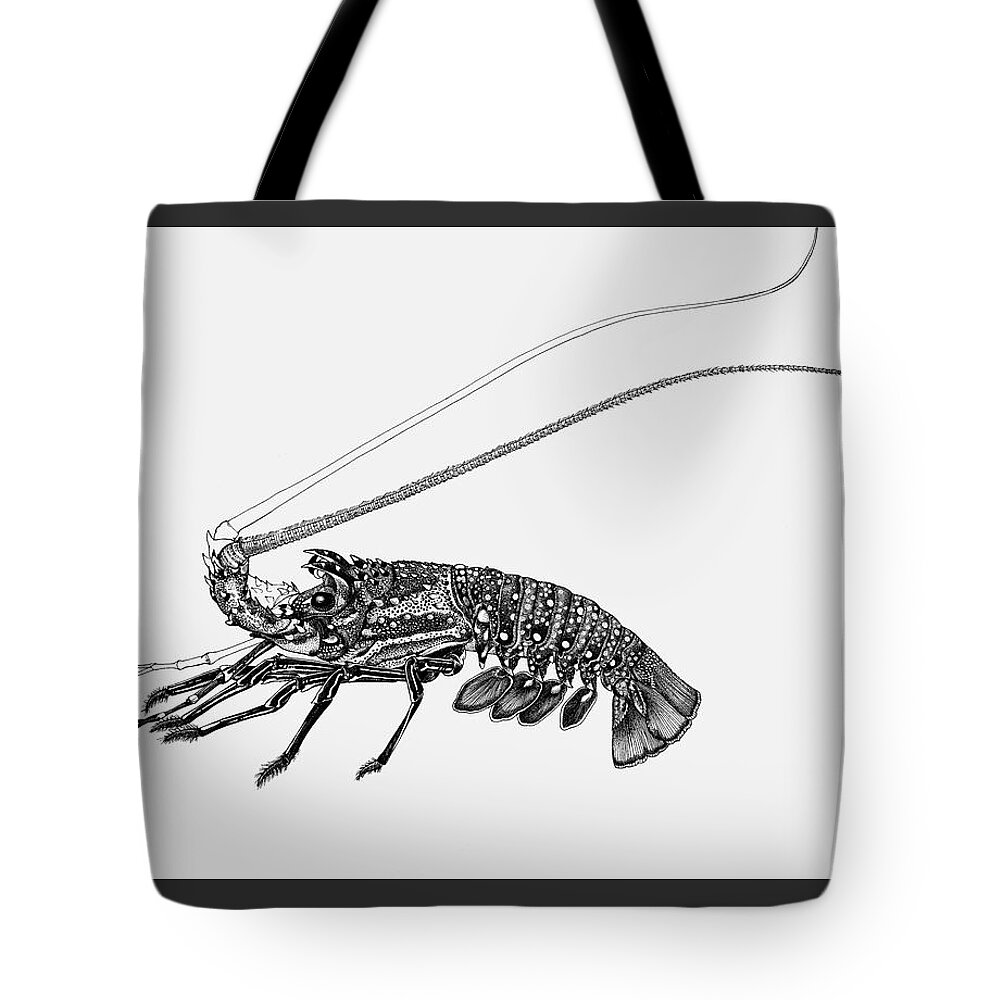  Blue-spot Rock Lobster Tote Bag featuring the drawing Rock Lobster by Judith Kunzle