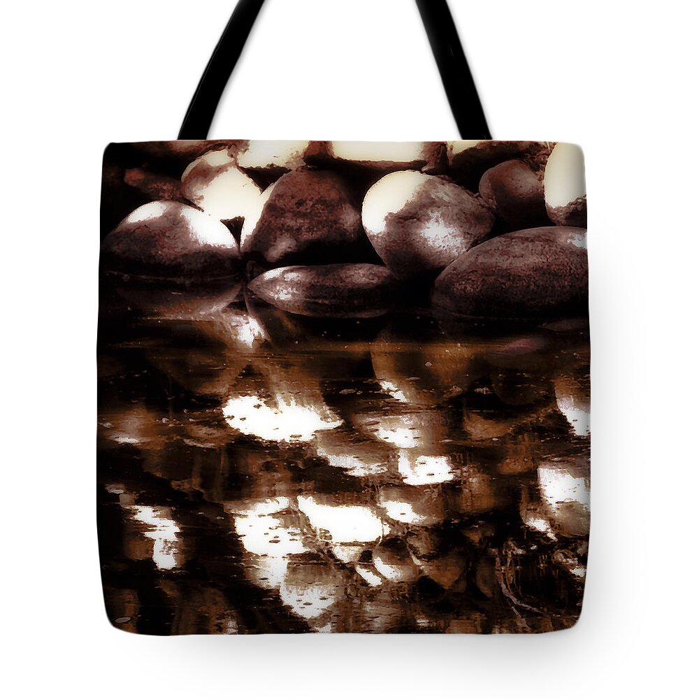  Tote Bag featuring the photograph Rock Reflectin by Joseph Hollingsworth