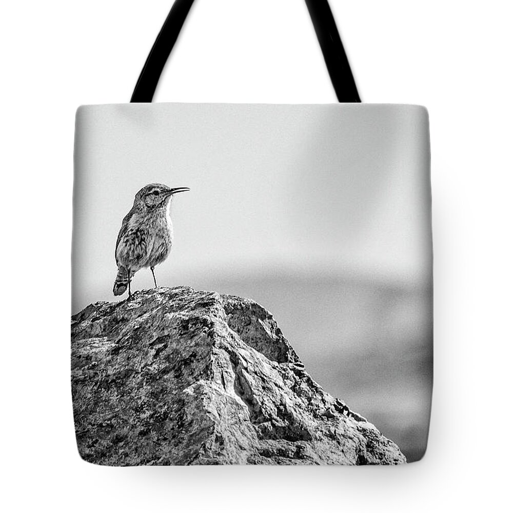 Rock Wren Tote Bag featuring the photograph Rock Wren 2BW by Rick Mosher