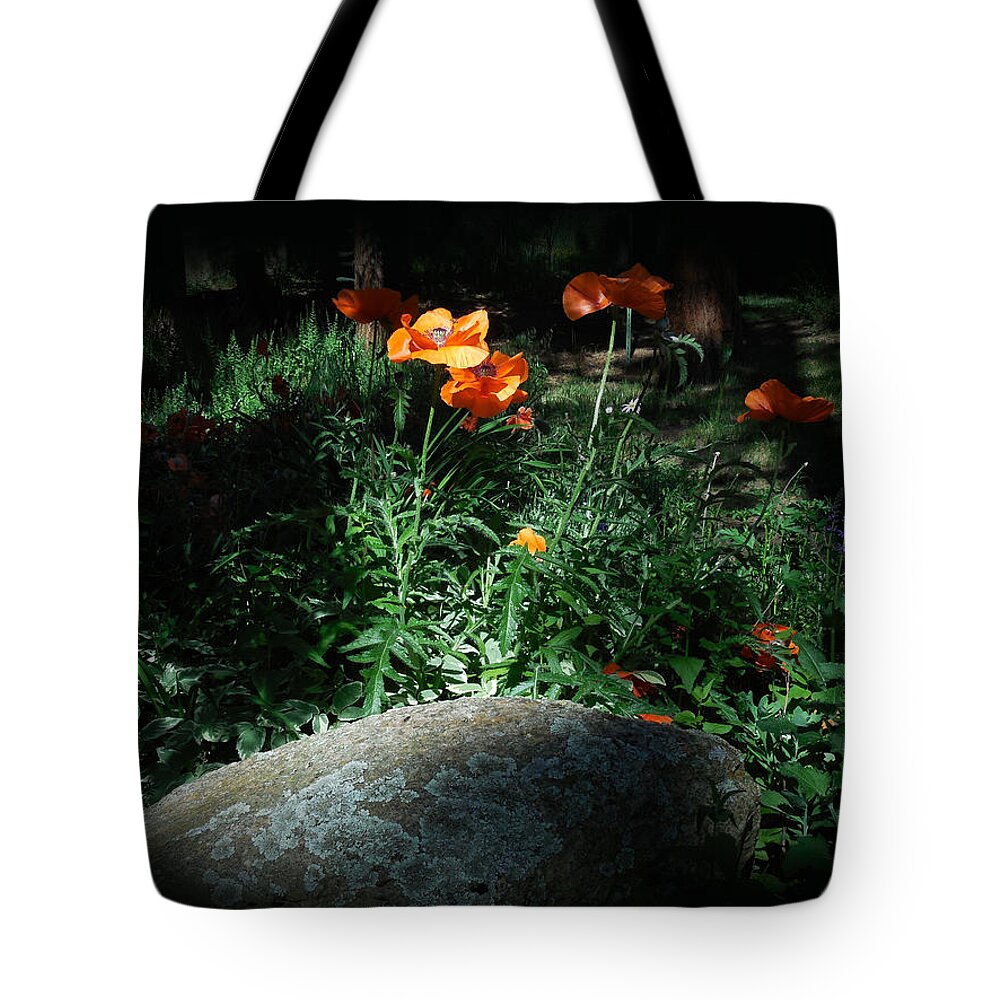 Colorado Tote Bag featuring the photograph Rocky Mt. Poppies by Jill Westbrook