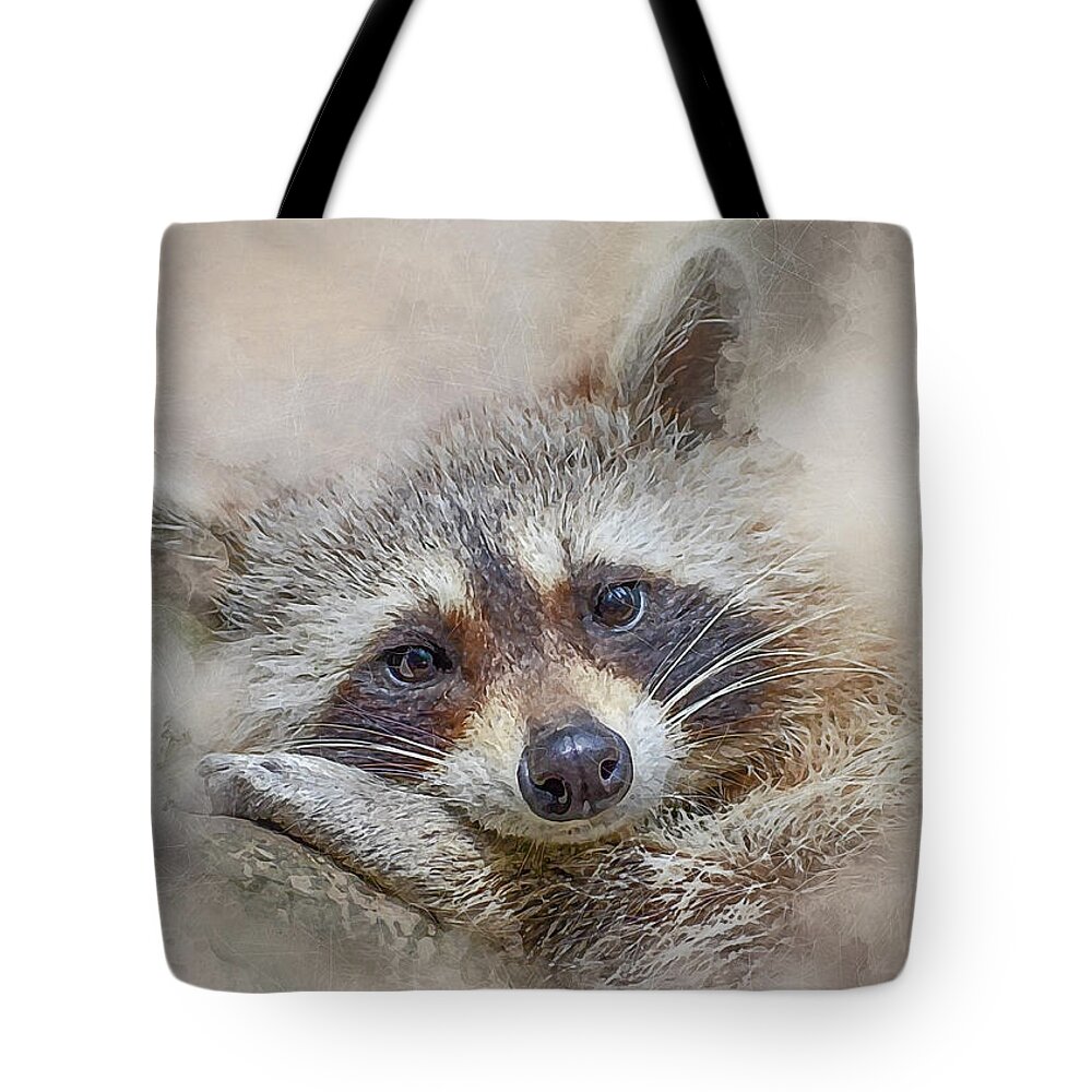 Procyon Lotor Tote Bag featuring the photograph Rocky Raccoon by Brian Tarr