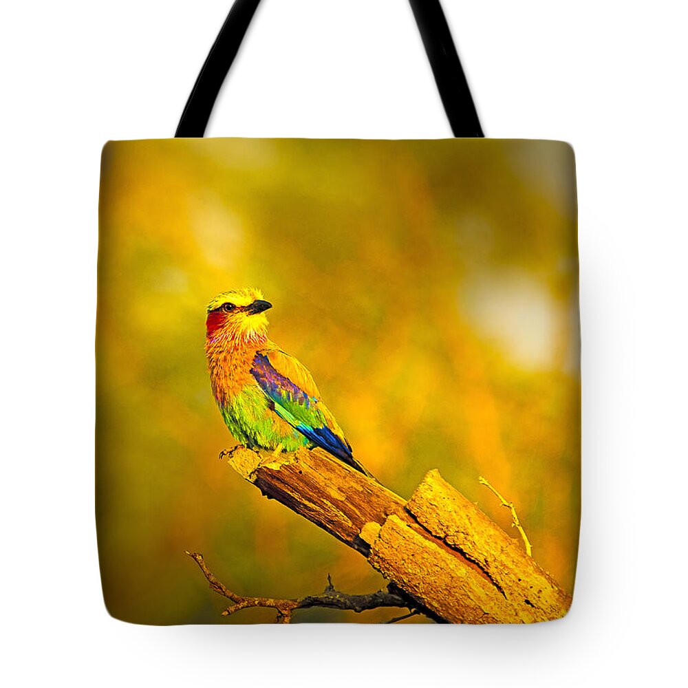 Birds Tote Bag featuring the photograph Roller by Patrick Kain