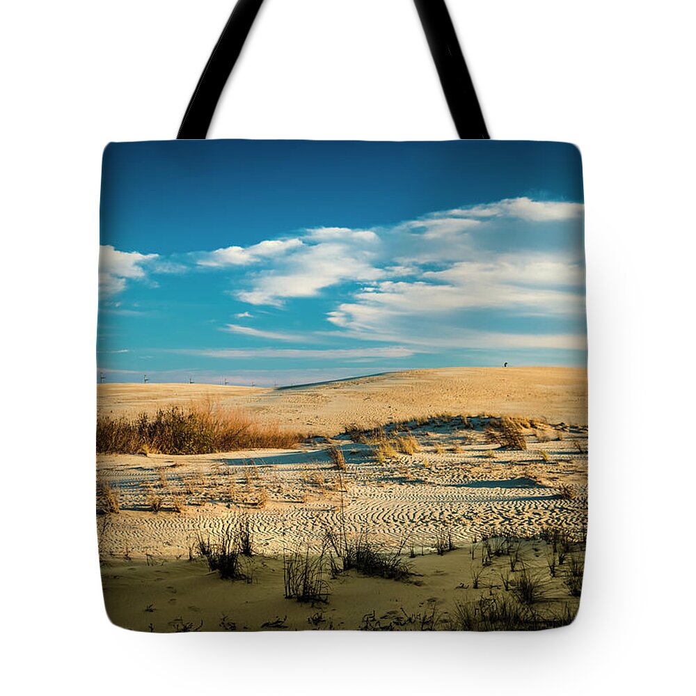 Landscapes Tote Bag featuring the photograph Rolling Sand Dunes by Donald Brown