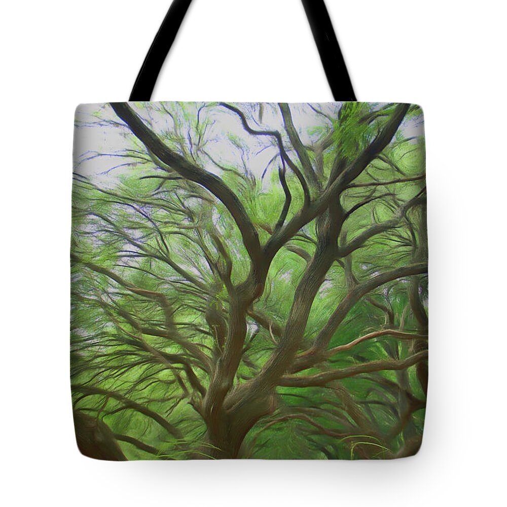 Oak Tree Tote Bag featuring the photograph Romantic Skies Reaching Out by Aimee L Maher ALM GALLERY