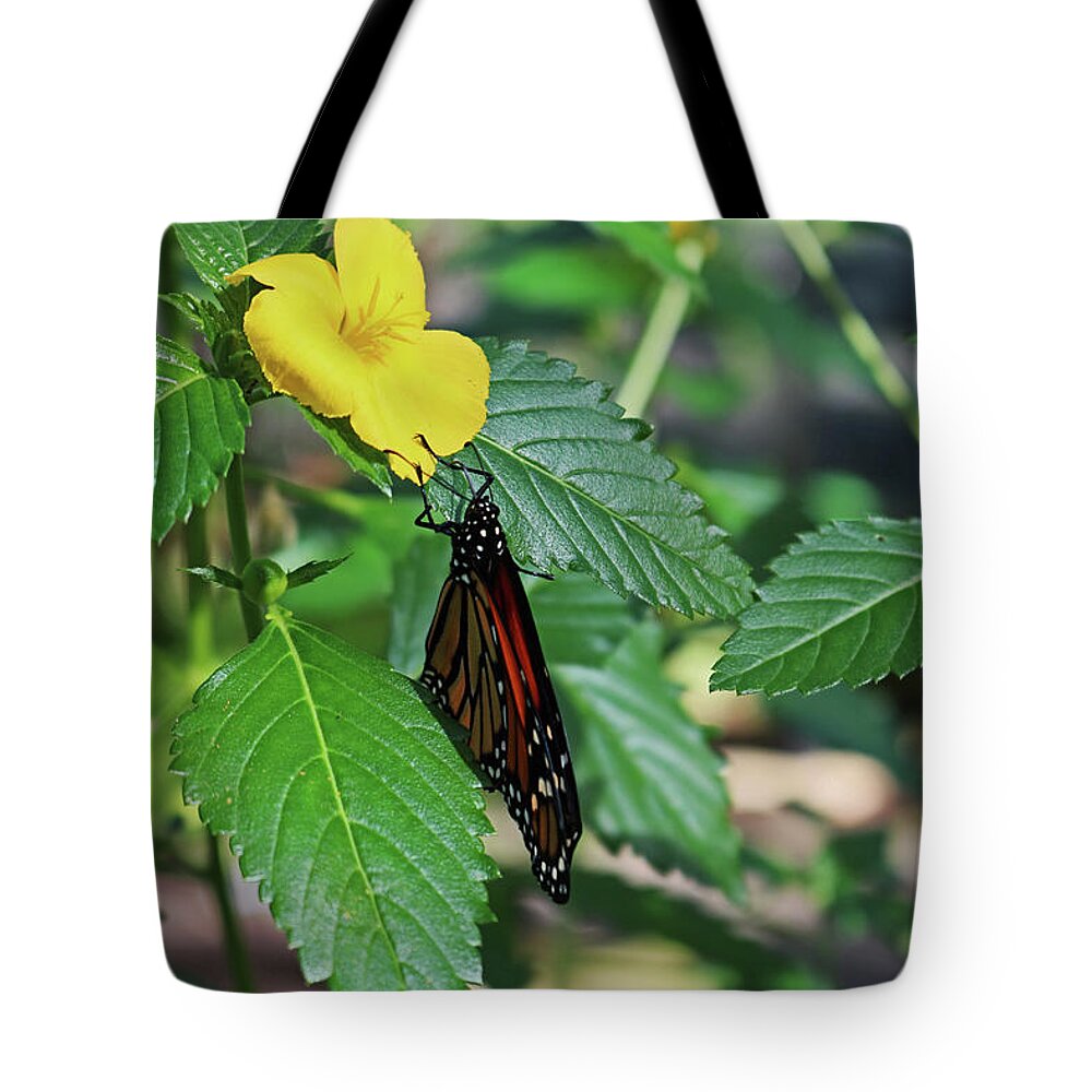Yellow Tote Bag featuring the photograph Romeo's Confession by Michiale Schneider