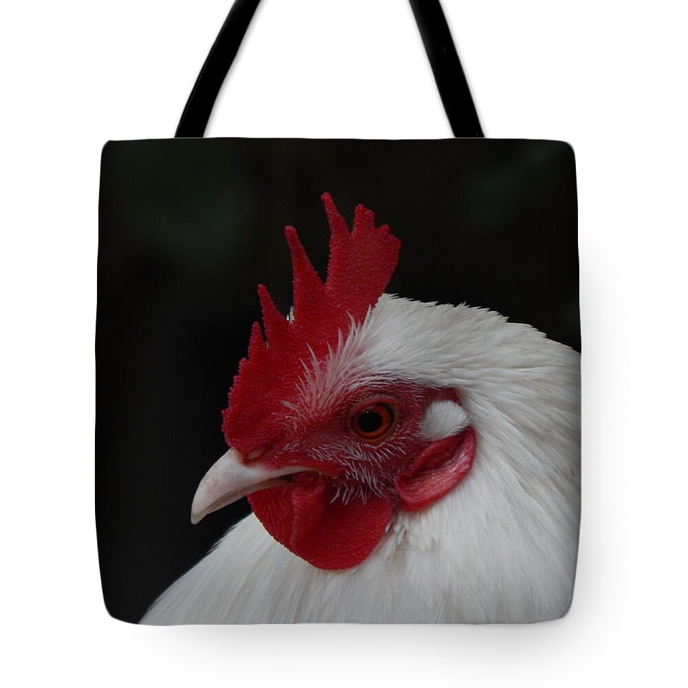 Rooster Tote Bag featuring the photograph Rooster In White by Jan Gelders