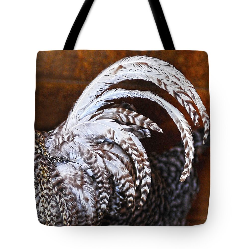 Rooster Tote Bag featuring the photograph Rooster's Tail by Amanda Smith