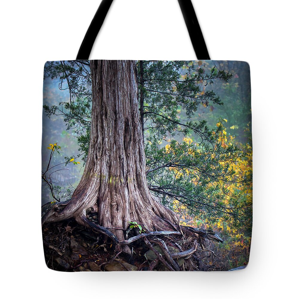Ozarks Tote Bag featuring the photograph Rooted by James Barber