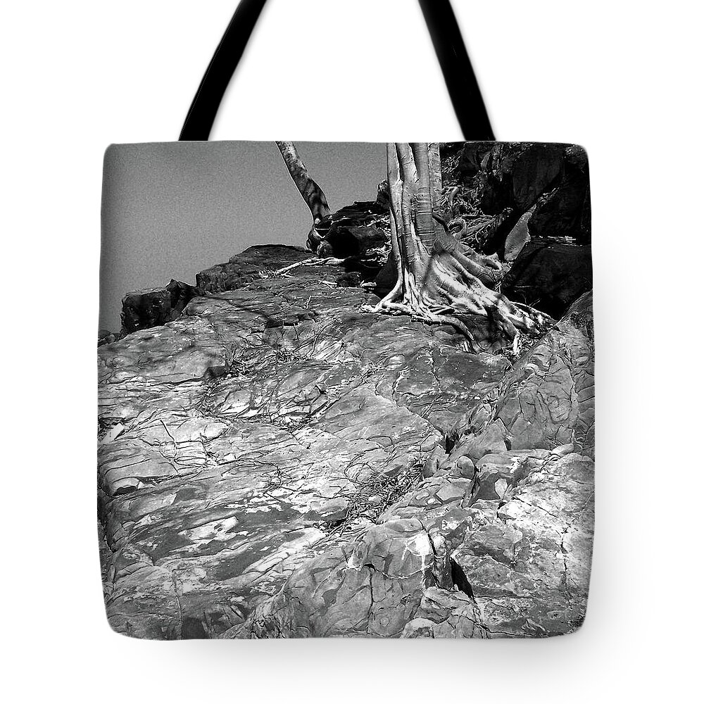 Roots Tote Bag featuring the photograph RootFlow by Steven Robiner