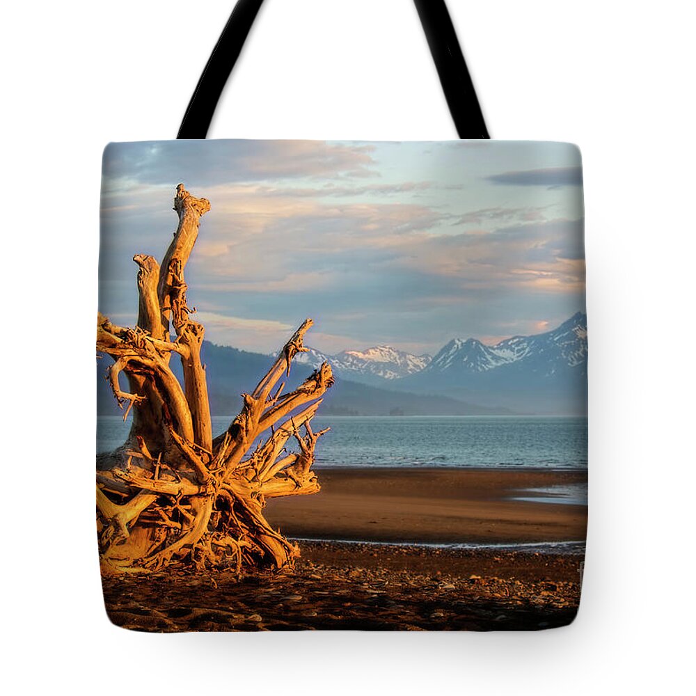 Roots Tote Bag featuring the photograph Roots at Sundown by David Arment