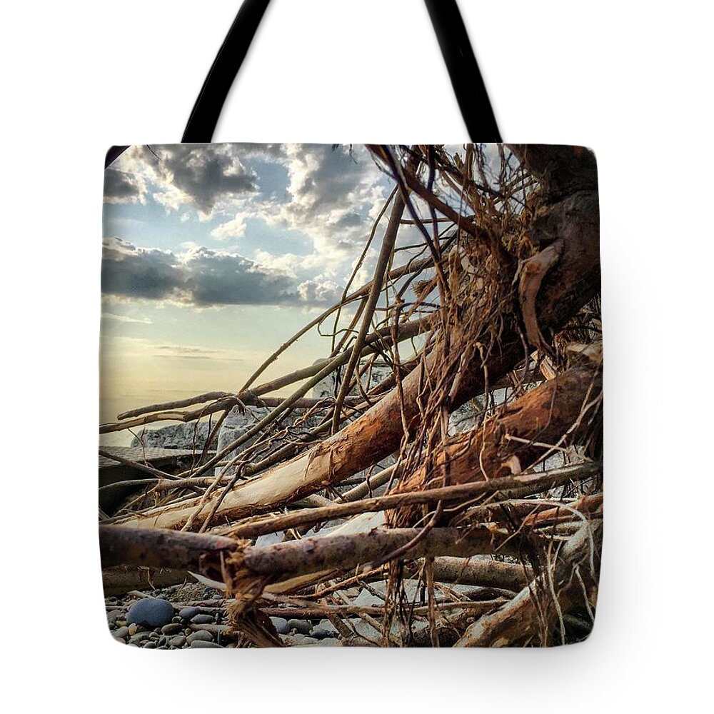 Lake Tote Bag featuring the photograph Roots by Terri Hart-Ellis