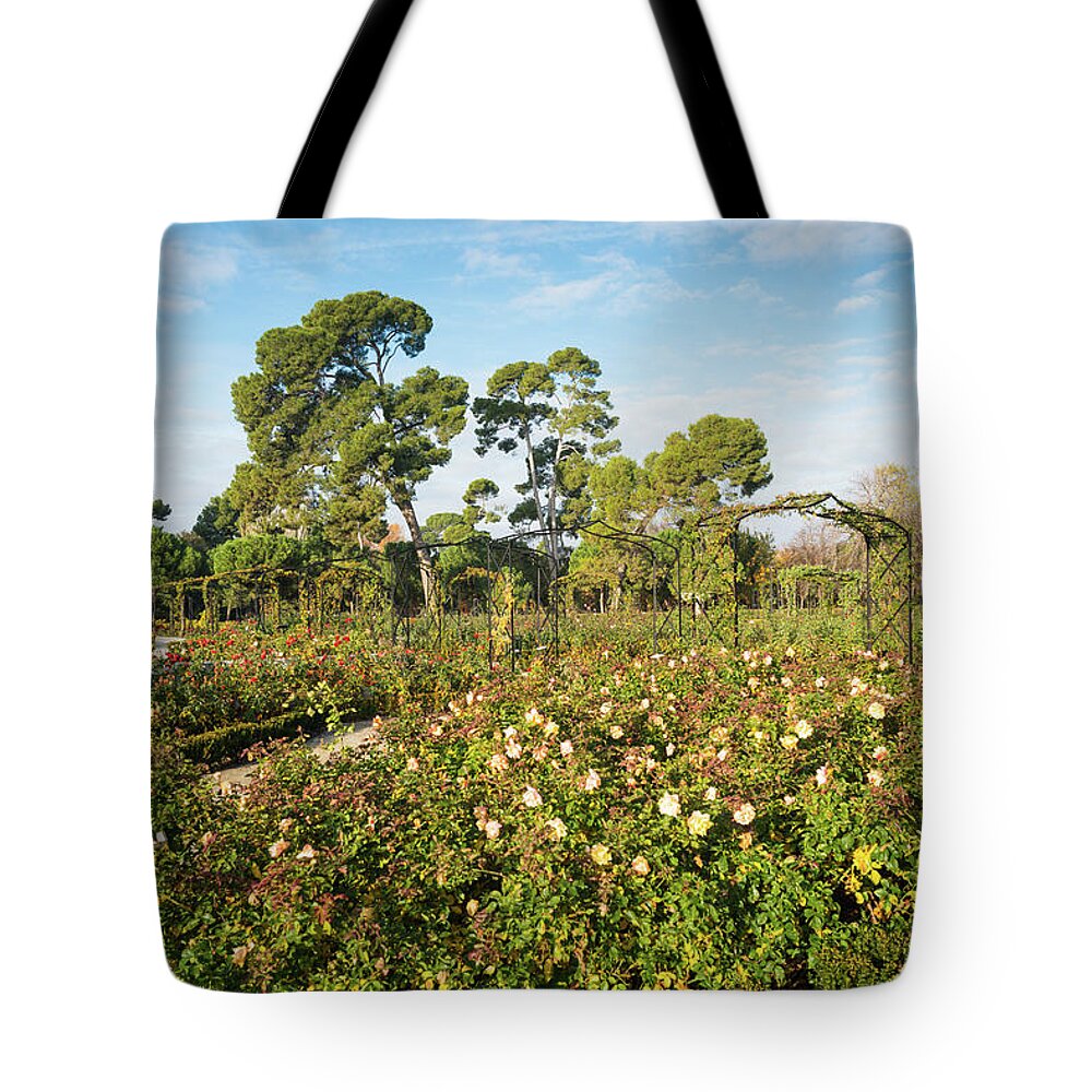 Madrid Tote Bag featuring the photograph Rosaleda rose-garden in Retrio park by Andrew Michael