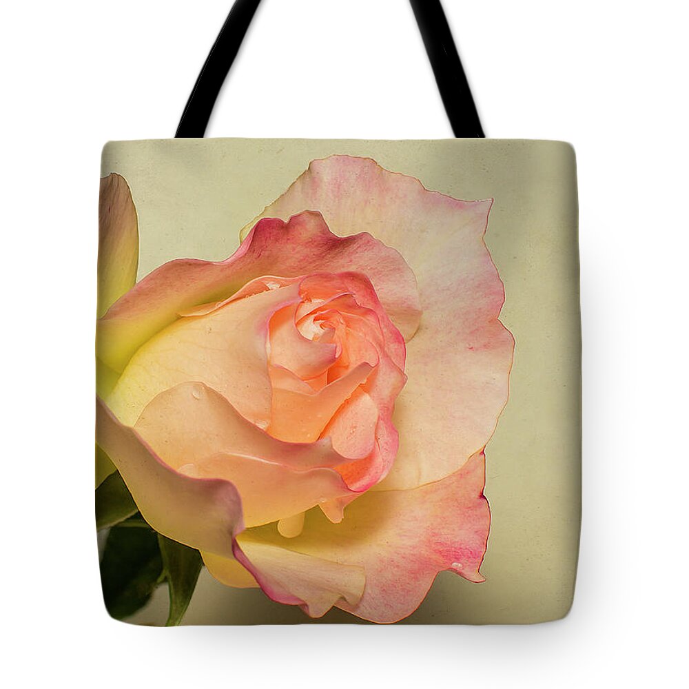 Rose Tote Bag featuring the photograph Rose 5166 by Cathy Kovarik